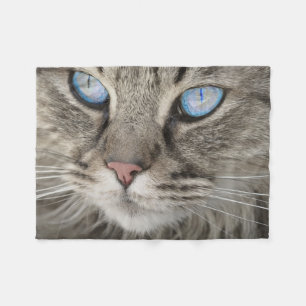 Vacker katt närbild fleecefilt