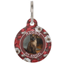 Vacker kattpappagåva Anemoner Blomma