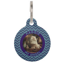 Vacker kattpappagåva med Chevrontryck