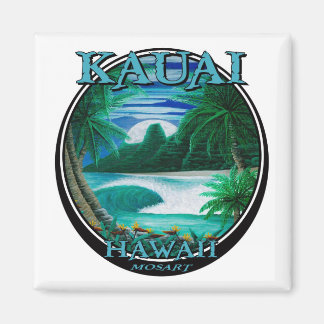 Vacker kauai hawaii magnet