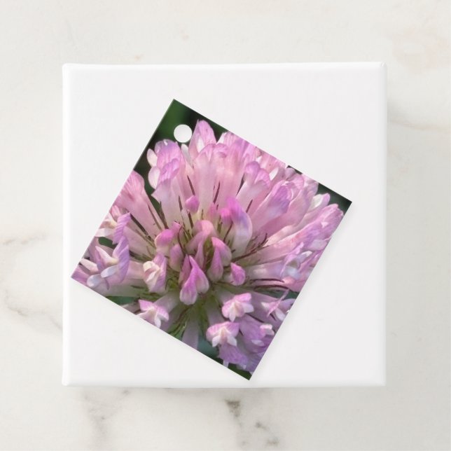 Vacker klöverblomma  gåvor etiketter (På plats)