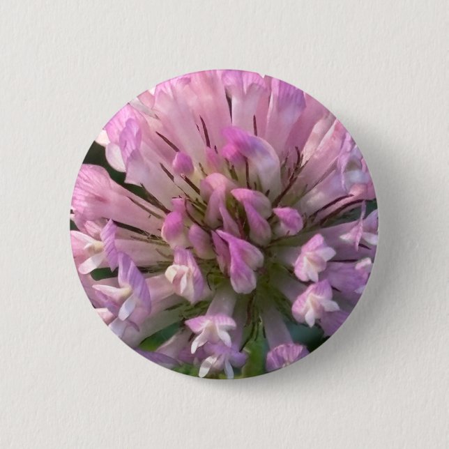 Vacker klöverblomma knapp (Framsida)