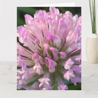 Vacker klöverblomma kort