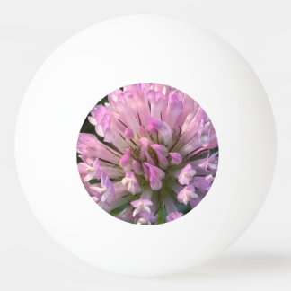 Vacker klöverblomma pingisboll