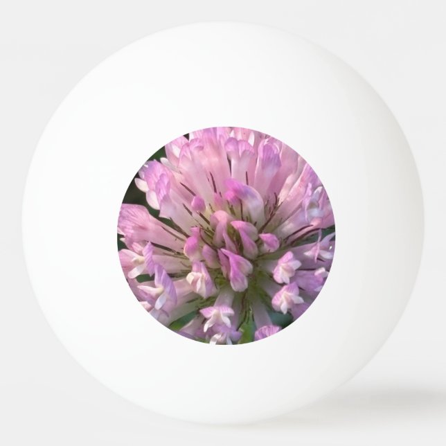 Vacker klöverblomma  pingisboll (Framsidan)