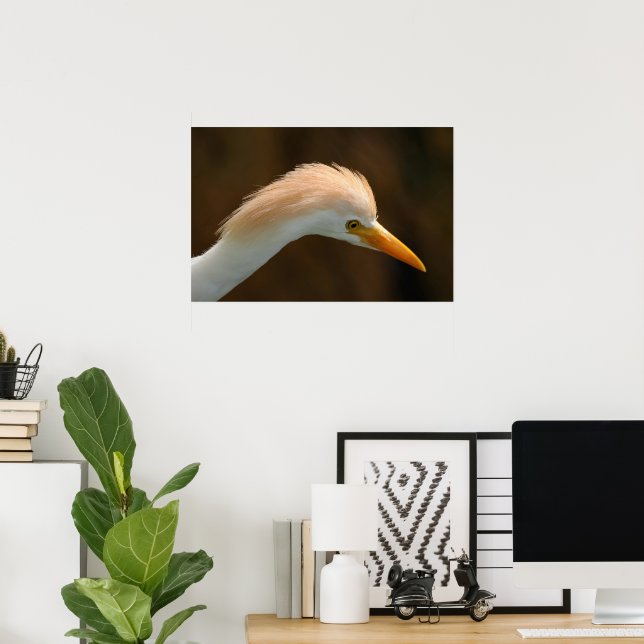 Vacker kohägerfågel poster (Hemmakontoret)
