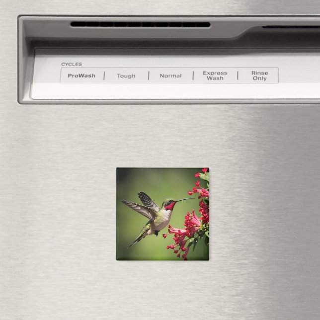 Vacker kolibri magnet (In Situ (Dishwasher))
