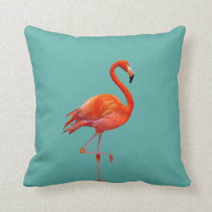 Vacker korallrosa flamingo på turkos kudde