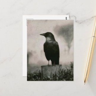 Vacker Korp Vintagefotografi Vykort