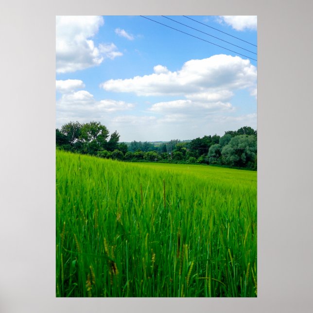 Vacker landsbygd poster (Framsidan)