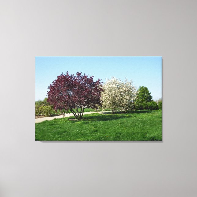 Vacker landskap med träd canvastryck (Framsida)