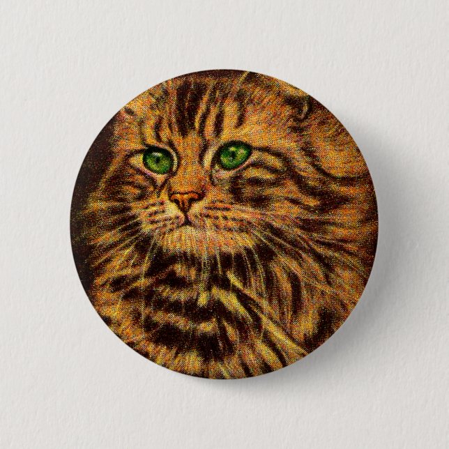 vacker, långlivad tabby katt knapp (Framsida)
