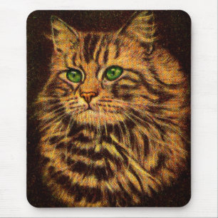 vacker, långlivad tabby katt musmatta