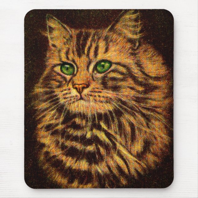 vacker, långlivad tabby katt musmatta (Framsidan)