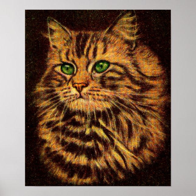 vacker, långlivad tabby katt poster (Framsidan)