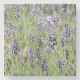 Vacker Lavendel Stenunderlägg