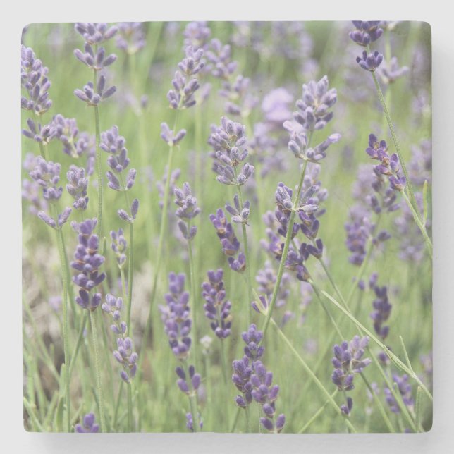Vacker Lavendel Stenunderlägg (Framsidan)