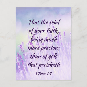Vacker Lavender Flower Fält Bible Scripture Vykort