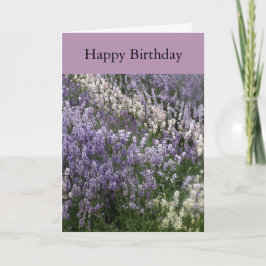 Vacker Lavender Grattis på födelsedagen Card Kort
