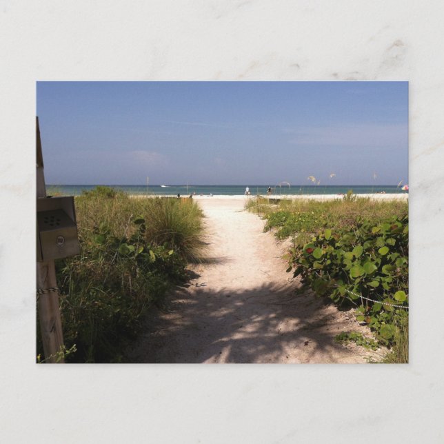 Vacker Lido Beach Florida vykort (Framsida)