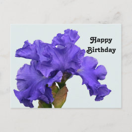 Vacker lila iris blomfotografi födelsedag vykort