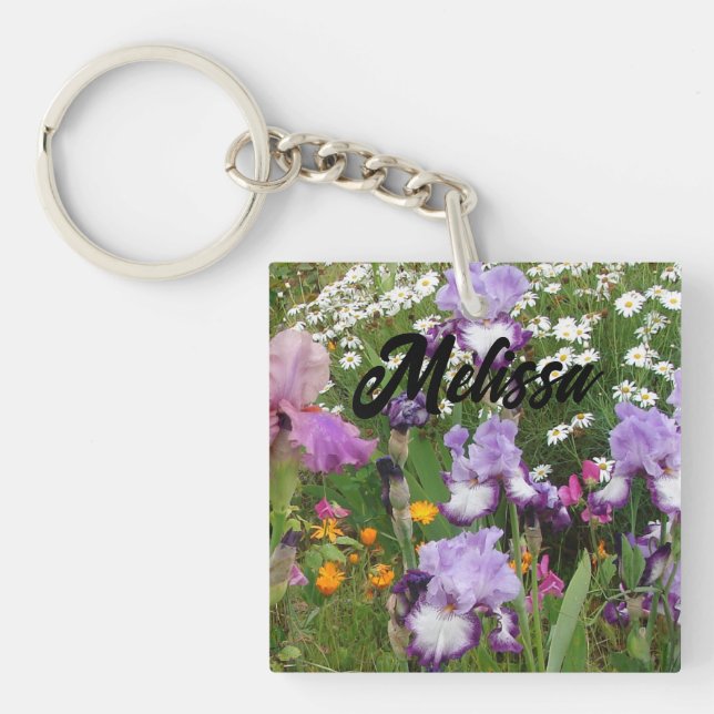 Vacker lila Iris Irisar blomma blomster Trädgård (Framsidan)