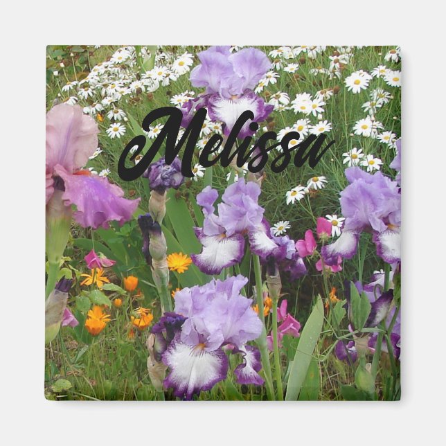 Vacker lila iris irisar blomma blomster Trädgård Magnet (Framsidan)