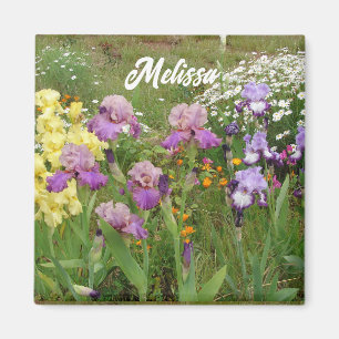 Vacker lila iris irisar blomma blomster Trädgård Magnet