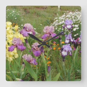 Vacker lila irisblomma blomsterfoto fyrkantig klocka