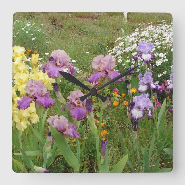 Vacker lila irisblomma blomsterfoto fyrkantig klocka (Framsida)