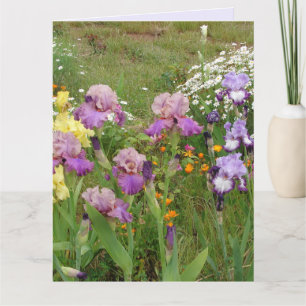 Vacker lila irisblomma blomsterfoto kort