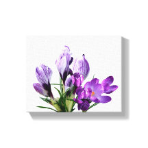 Vacker lila krokus blommodern digital blomma