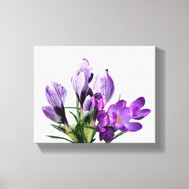 Vacker lila krokus modern blomsterdigital konst  canvastryck (Framsida)