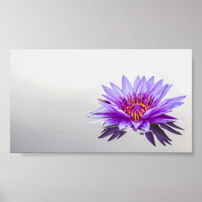 Vacker Lila Lotus,Sjö,Zen Poster (Framsidan)