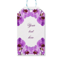 Vacker lila orchids phalaenopsis