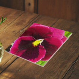 Vacker lila pensé blomster kakelplatta