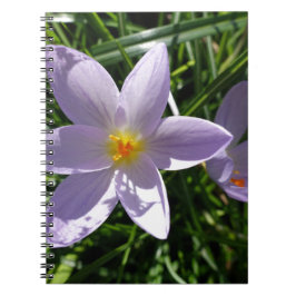 Vacker lila trädgårdsblomma. 美丽的紫色花 anteckningsbok