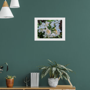 Vacker lilja blommar blomsterfotografisk affisch
