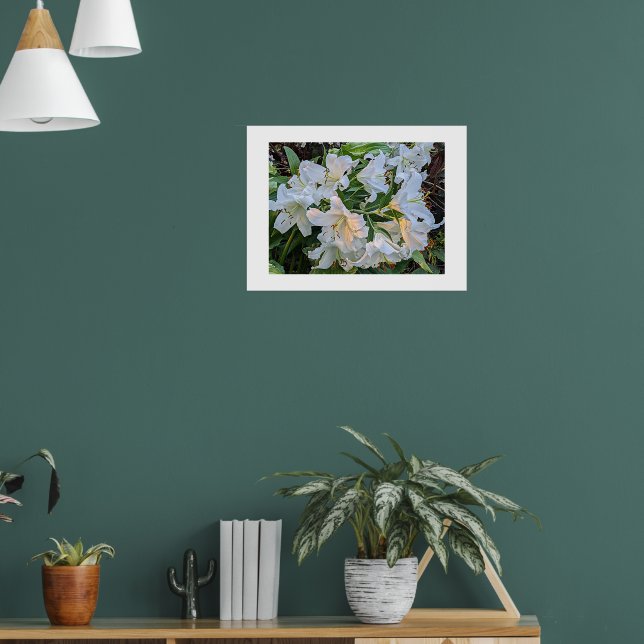 Vacker lilja blommar blomsterfotografisk affisch (Vardagsrum 1)