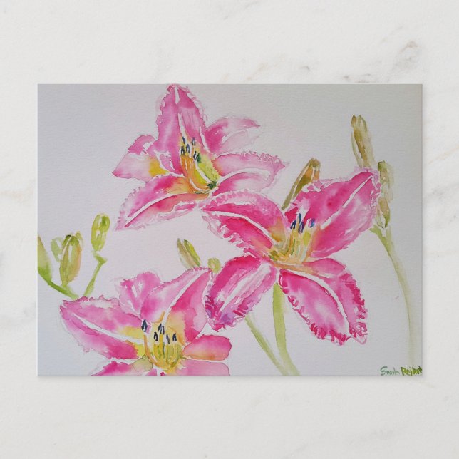 Vacker Lily i rosa akvarellmålning vykort (Framsida)