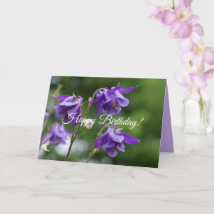 Vacker, ljusa lila blommor Aquilegia vulgaris Kort
