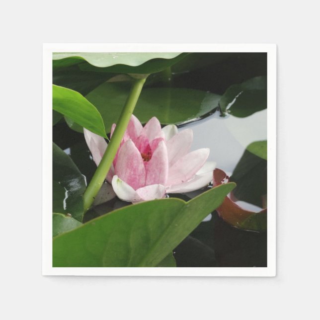 Vacker Lotus Flower Cocktail Napkin Pappersservett (Framsidan)