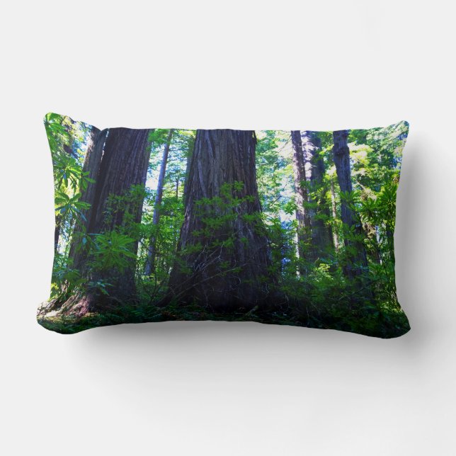 Vacker Lush Redwood Forest Lumbarkudde (Framsida)