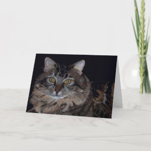 Vacker maine Coon Cat Greeting Card Kort