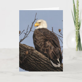 Vacker Mamma (Eagle) Kort