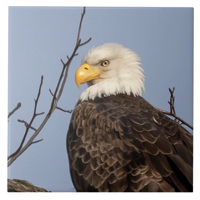 Vacker mamma (Örn) keramisk platta Kakelplatta (Framsidan)