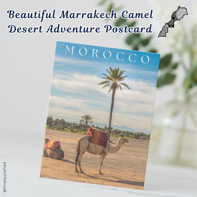 Vacker Marrakech Camel Desert Äventyr Vykort (Skapare uppladdad)