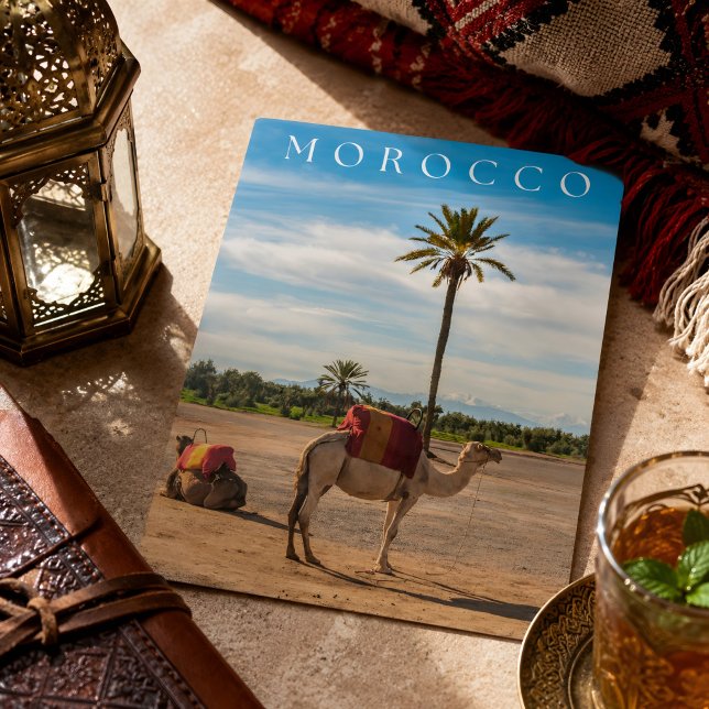 Vacker Marrakech Kamel Ökenäventyr Helg Vykort (Morocco's Postcard. )