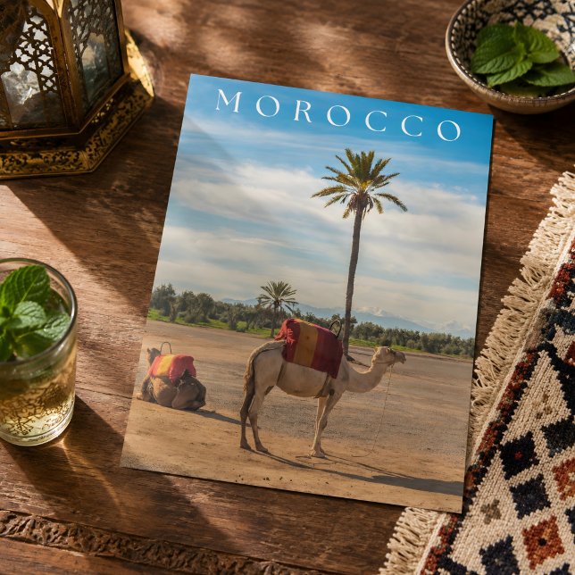 Vacker Marrakech Kamel Ökenäventyr Vykort (Skapare uppladdad)