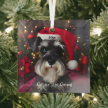 Vacker minister Schnauzer med Santa Hat